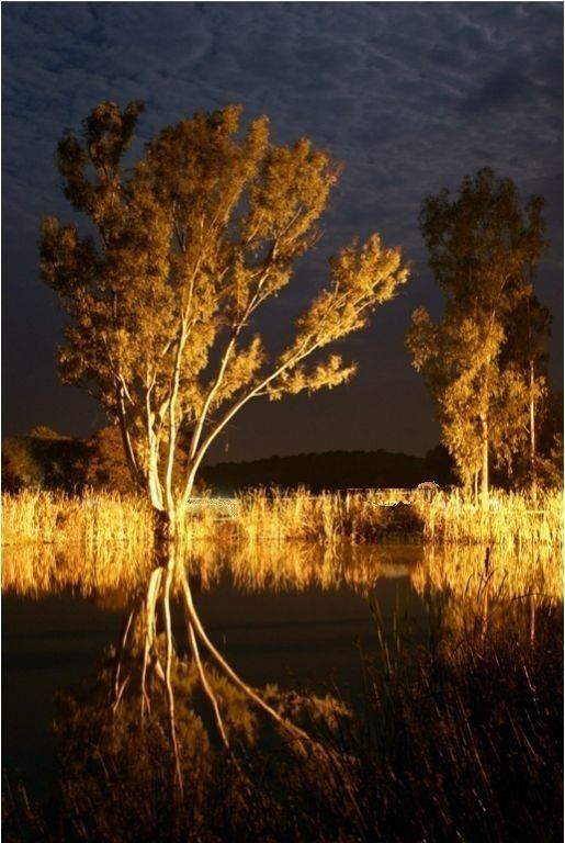 3-v-p-richard_stone-reflections